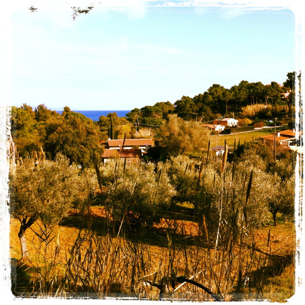 Agriturismo a Capoliveri: Stefano e Dominique