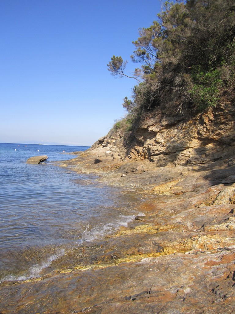 Straccoligno ( foto di F.Mazzei)