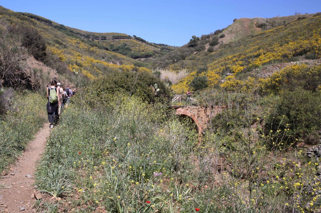 Trekking alla Vecchia Ferrovia (Foto di D.Sozzi)