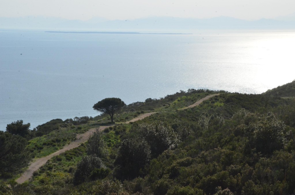 Il paradiso della bike (Foto Capoliveri Bike Park)